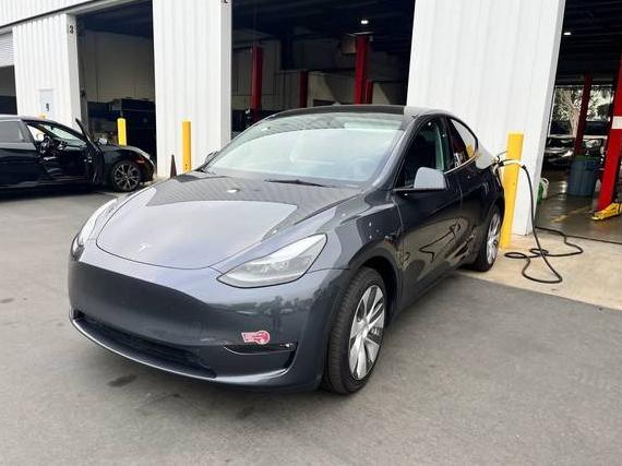 TESLA MODEL Y 2023 7SAYGDEE8PF916207 image